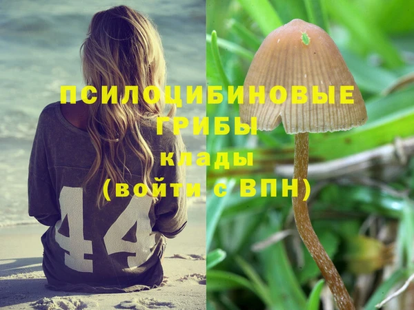 прущая мука Дмитровск