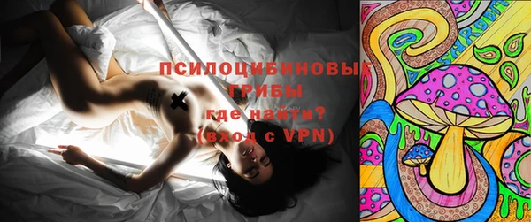 PSILOCYBIN Дмитров