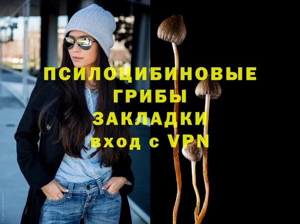 винт Дмитриев