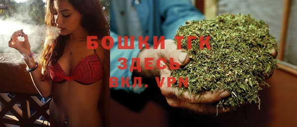 винт Дмитриев