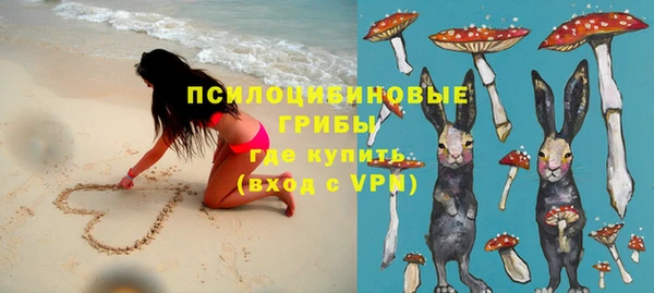 прущая мука Дмитровск