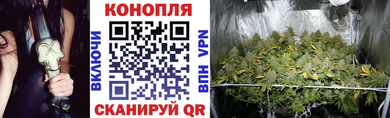купить наркотик  Дербент  МАРИХУАНА White Widow 